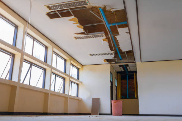 Best Local water damage restoration  in Bellwood, IL