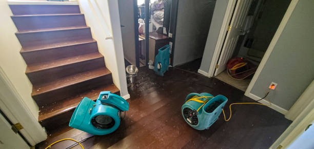  Bellwood, IL Water damage restoration Pros