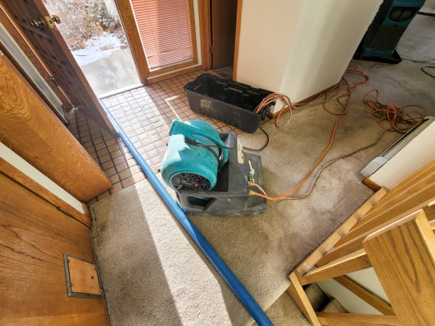 Best Fire Damage Restoration  in Bellwood, IL