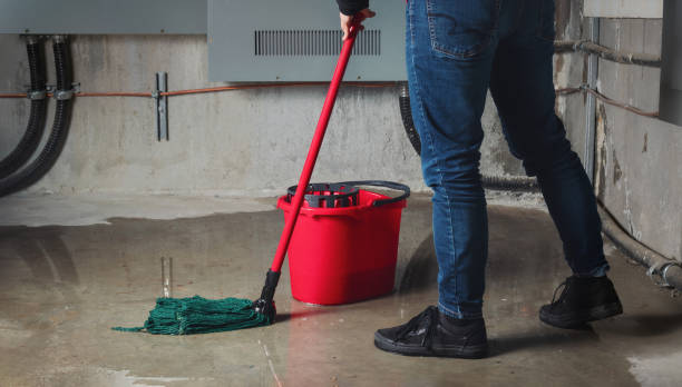 Best Water damage restoration near me  in Bellwood, IL