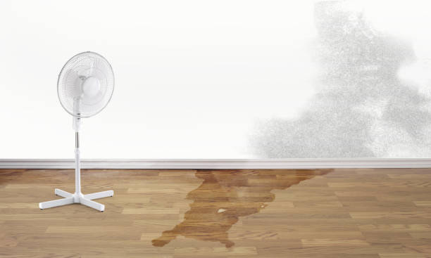 Best Sewage cleanup and water damage restoration  in Bellwood, IL