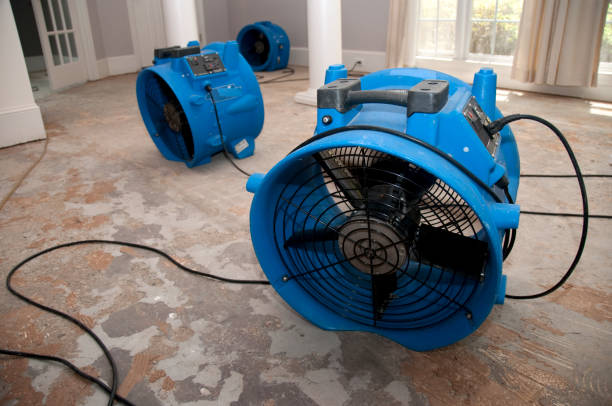 Best 24-hour water damage restoration  in Bellwood, IL