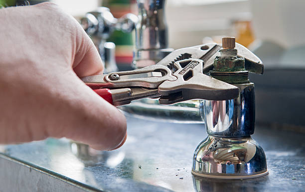 Best Flooded house restoration  in Bellwood, IL