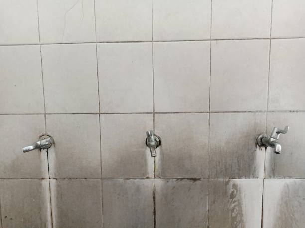 Best Water damage cleanup near me  in Bellwood, IL