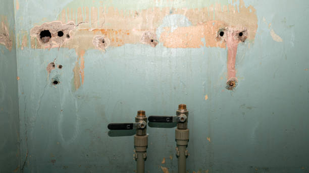 Best Water damage contractors near me  in Bellwood, IL