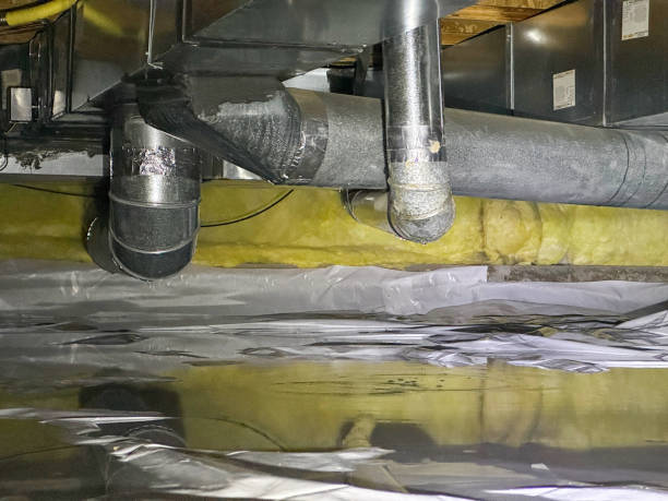 Best 24-hour water damage restoration  in Bellwood, IL